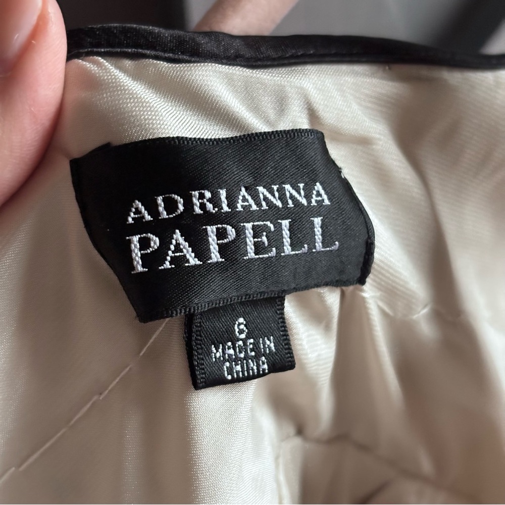 Adrianna Papell Black and Ivory Swiss Dot A Line Dress Braided Size 6 - Picture 11 of 13